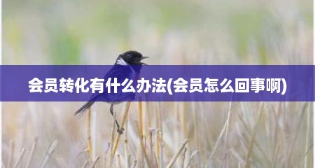 会员转化有什么办法(会员怎么回事啊)