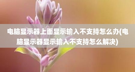 电脑显示器上面显示输入不支持怎么办(电脑显示器显示输入不支持怎么解决)
