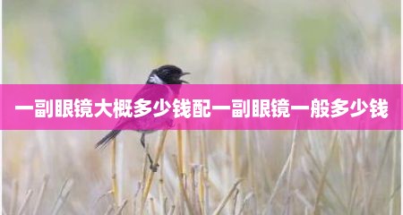 一副眼镜大概多少钱配一副眼镜一般多少钱