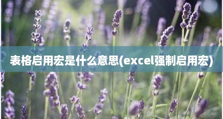 表格启用宏是什么意思(excel强制启用宏)
