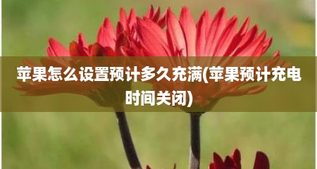 苹果怎么设置预计多久充满(苹果预计充电时间关闭)