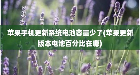 苹果手机更新系统电池容量少了(苹果更新版本电池百分比在哪)