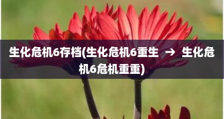 生化危机6存档(生化危机6重生  →  生化危机6危机重重)