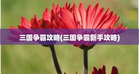 三国争霸攻略(三国争霸新手攻略)