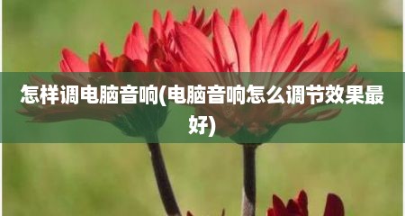 怎样调电脑音响(电脑音响怎么调节效果最好)