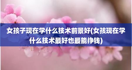 女孩子现在学什么技术前景好(女孩现在学什么技术最好也最能挣钱)