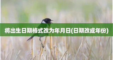 将出生日期格式改为年月日(日期改成年份)
