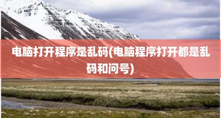 电脑打开程序是乱码(电脑程序打开都是乱码和问号)