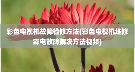 彩色电视机故障检修方法(彩色电视机维修彩电故障解决方法视频)