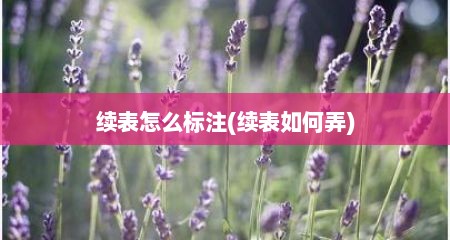 续表怎么标注(续表如何弄)