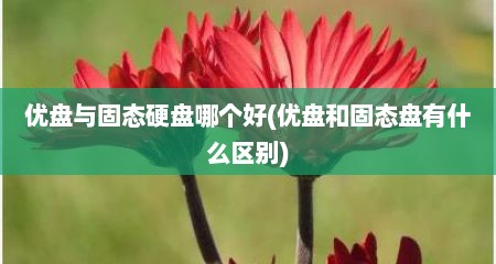 优盘与固态硬盘哪个好(优盘和固态盘有什么区别)