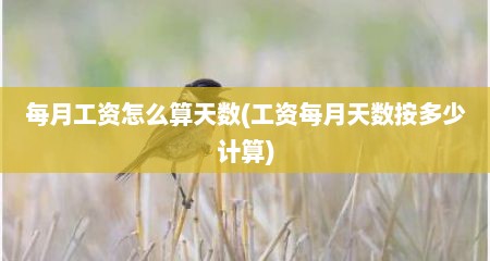 每月工资怎么算天数(工资每月天数按多少计算)