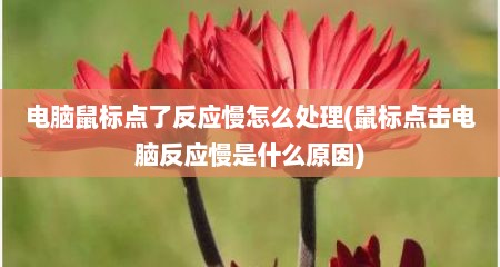 电脑鼠标点了反应慢怎么处理(鼠标点击电脑反应慢是什么原因)