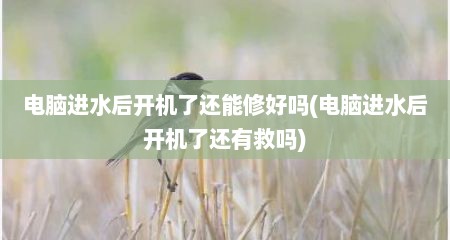 电脑进水后开机了还能修好吗(电脑进水后开机了还有救吗)