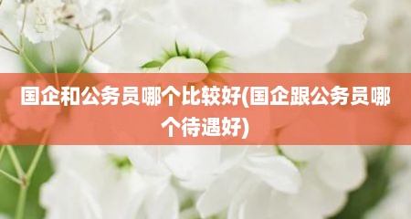 国企和公务员哪个比较好(国企跟公务员哪个待遇好)
