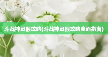 斗战神灵猴攻略(斗战神灵猴攻略全面指南)