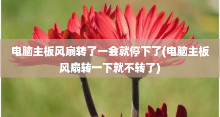 电脑主板风扇转了一会就停下了(电脑主板风扇转一下就不转了)