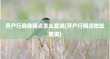 开户行具体网点怎么查询(开户行网点地址查询)