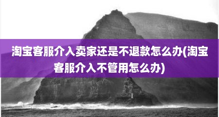 淘宝客服介入卖家还是不退款怎么办(淘宝客服介入不管用怎么办)