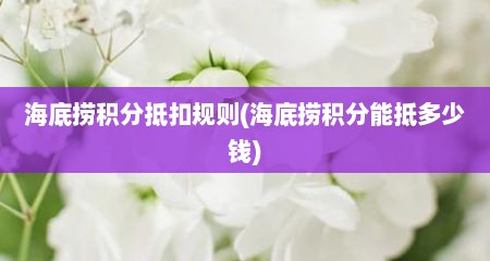 海底捞积分抵扣规则(海底捞积分能抵多少钱)
