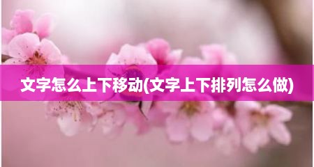 文字怎么上下移动(文字上下排列怎么做)