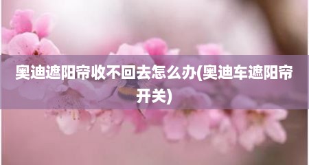 奥迪遮阳帘收不回去怎么办(奥迪车遮阳帘开关)