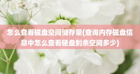 怎么查看磁盘空间储存量(查询内存磁盘信息中怎么查看硬盘剩余空间多少)