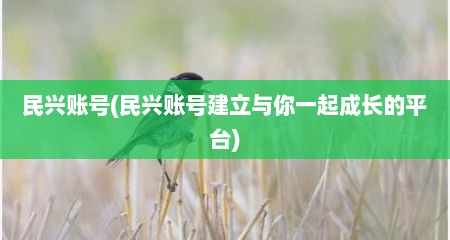 民兴账号(民兴账号建立与尔一起成长的平台)