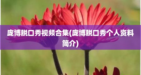 庞博脱口秀视频合集(庞博脱口秀个人资料简介)