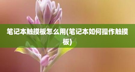 笔记本触摸板怎么用(笔记本如何操作触摸板)