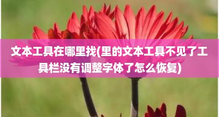 文本工具在哪里找(里的文本工具不见了工具栏没有调整字体了怎么恢复)