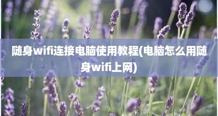 随身wifi连接电脑使用教程(电脑怎么用随身wifi上网)