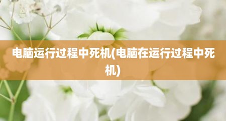 电脑运行过程中死机(电脑在运行过程中死机)