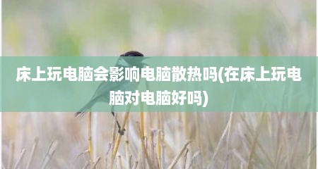 床上玩电脑会影响电脑散热吗(在床上玩电脑对电脑好吗)