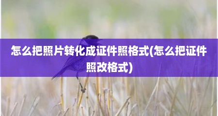怎么把照片转化成证件照格式(怎么把证件照改格式)
