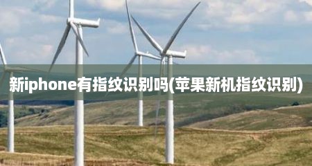 新iphone有指纹识别吗(苹果新机指纹识别)