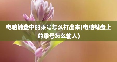 电脑键盘中的乘号怎么打出来(电脑键盘上的乘号怎么输入)