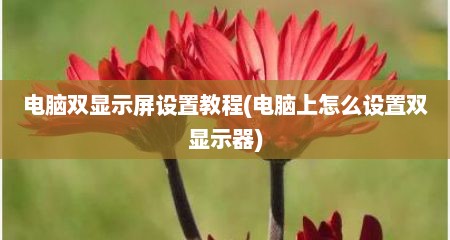 电脑双显示屏设置教程(电脑上怎么设置双显示器)