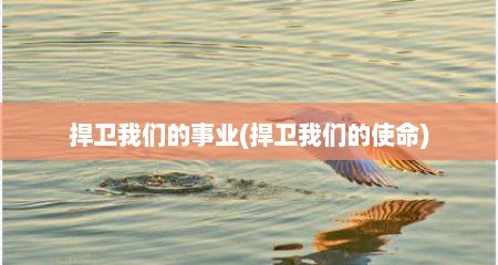 捍卫我们的事业(捍卫我们的使命)