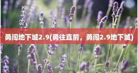 勇闯地下城2.9(勇往直前，勇闯2.9地下城)