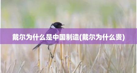 戴尔为什么是中国制造(戴尔为什么贵)