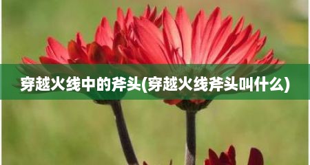 穿越火线中的斧头(穿越火线斧头叫什么)