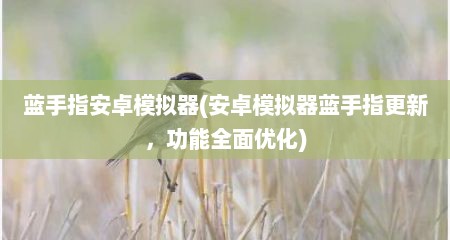 蓝手指安卓模拟器(安卓模拟器蓝手指更新，功能全面优化)