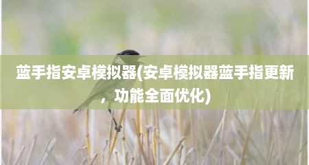 蓝手指安卓模拟器(安卓模拟器蓝手指十分新，功能全面优化)