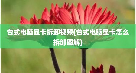 台式电脑显卡拆卸视频(台式电脑显卡怎么拆卸图解)