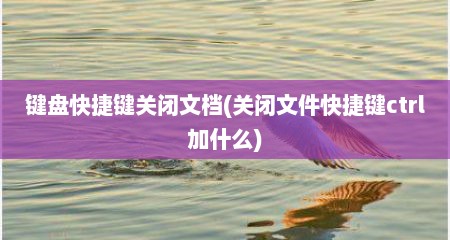 键盘快捷键关闭文档(关闭文件快捷键ctrl加什么)
