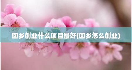 回乡创业什么项目最好(回乡怎么创业)