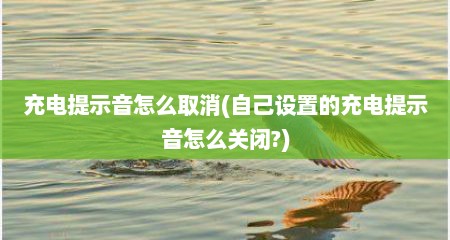 充电提示音怎么取消(自己设置的充电提示音怎么关闭?)