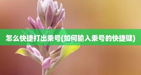 怎么快捷打出乘号(如何输入乘号的快捷键)