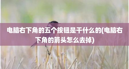 电脑右下角的五个按钮是干什么的(电脑右下角的箭头怎么去掉)
